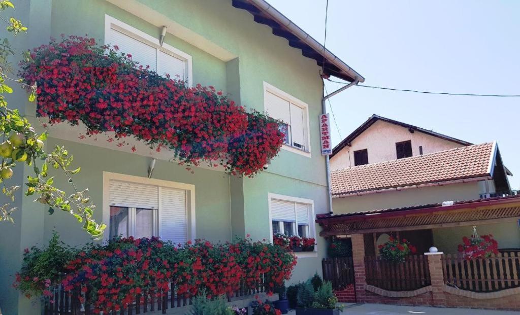 Ana Daire Gračac Dış mekan fotoğraf